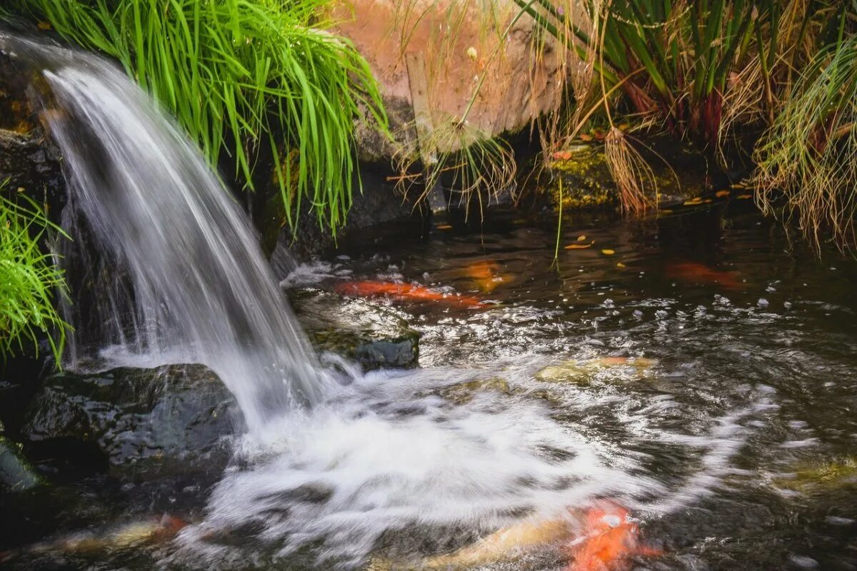 Не спокойными потоками воды. Родник ручей река озеро. Родник, ручек, речка, река. Струится ручей. Льётся ручей.