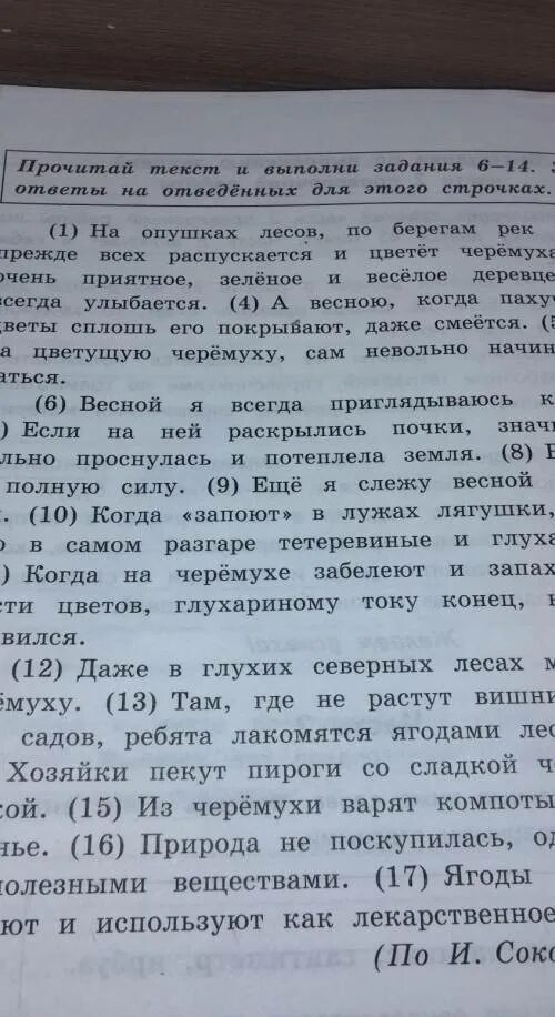 Три пункта в тексте