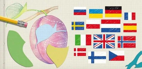 14 languages