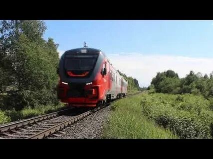 Орлан лодейное поле