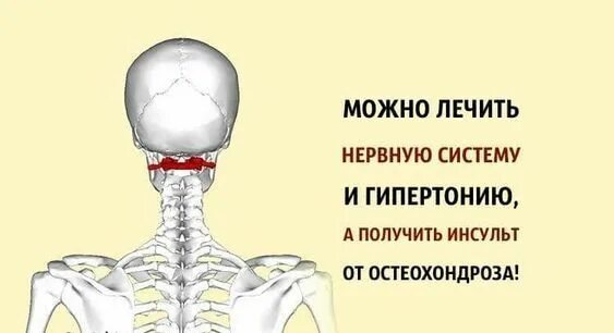 Как их можно вылечить. Подлечить нервную систему. что лечит нервную систему. лечить нервы. как можно полечить нервы.