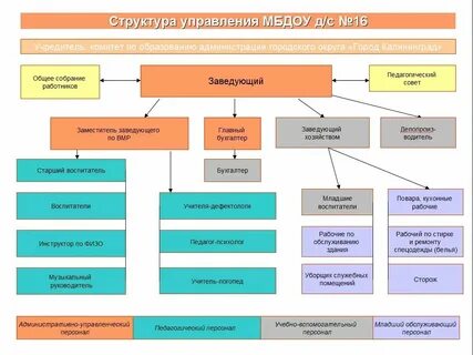Структура управления и основные направления деятельности