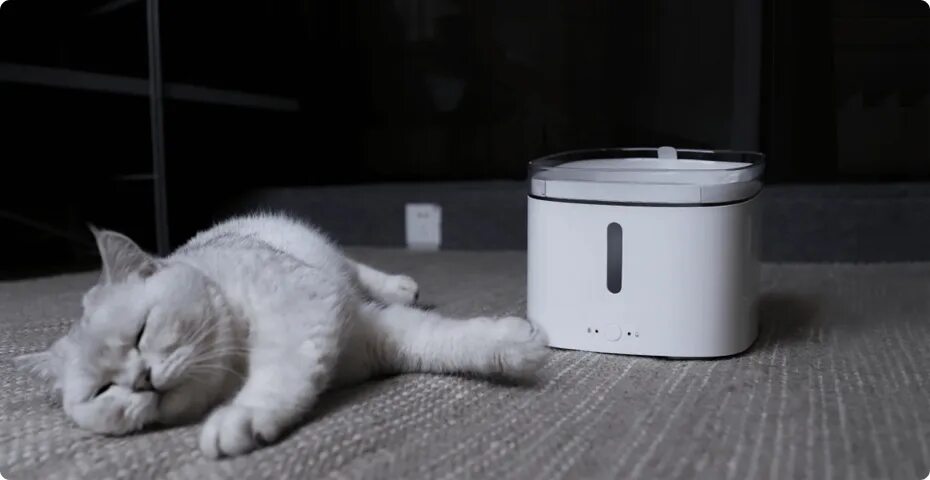 Mijia Smart Pet Water Dispenser. Поилка для животных Xiaomi Mijia Smart Pet Water Dispenser 2l xwwf01mg. Поилка для животных Xiaomi Mijia Smart Pet Water Dispenser 2l xwwf01mg белая. Mijia Smart Pet Water Dispenser 2 л White. Xiaomi pet fountain