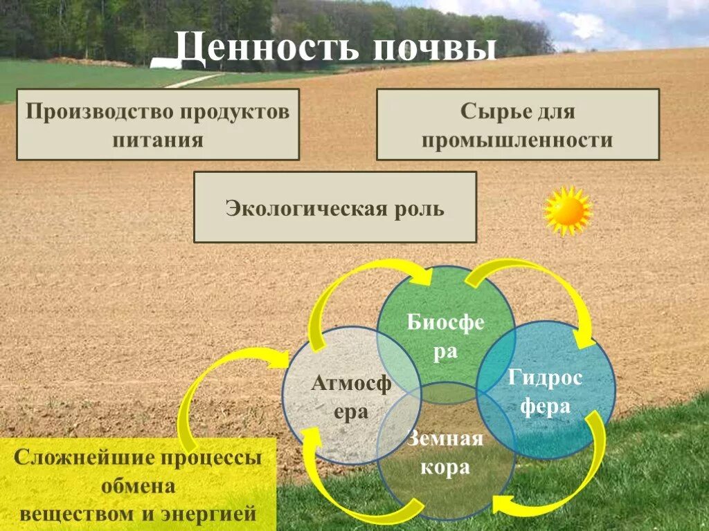 Почва главный источник. География 8 класс почвы и почвенные ресурсы. Апочвеные ресурсы Росси. Ценность почвы. Экологическая роль почвы.