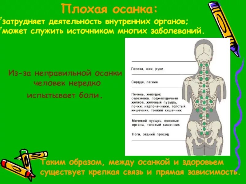На что влияет неправильная осанка. Расположение позвонков и органов. Влияние осанки на внутренние органы. Правильная осанка влияние. Влияние осанки на функционирование внутренних органов.