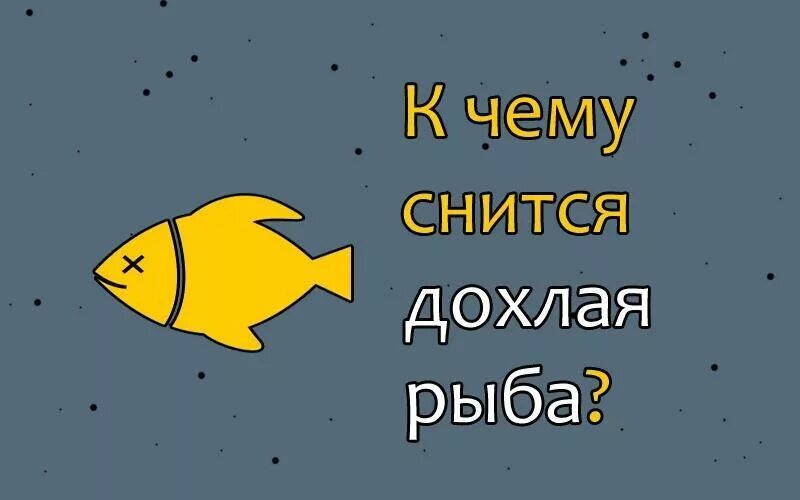 К чему снится рыба. К чему снится дохлая рыба. Снится рыбка. К чему видеть во сне рыбу.