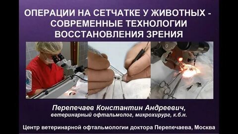 Восстановление сетчатки после операции