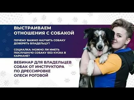 Почему собака не доверяет