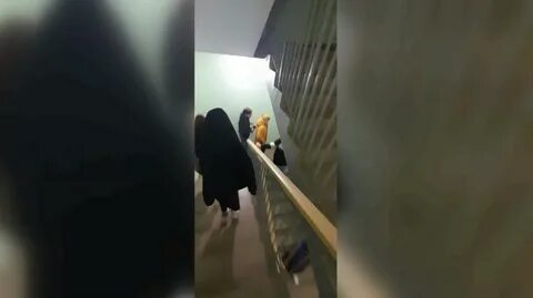 Мои горизонты 28 декабря