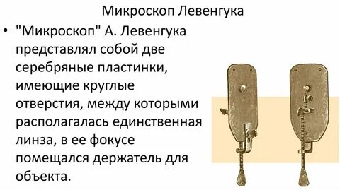 Левенгук микроскоп