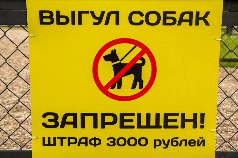 Выгул собак на детской. Выгул собак запрещен. выгул собак табличка. выгул собак запрещен штраф. запрещено выгуливать собак.