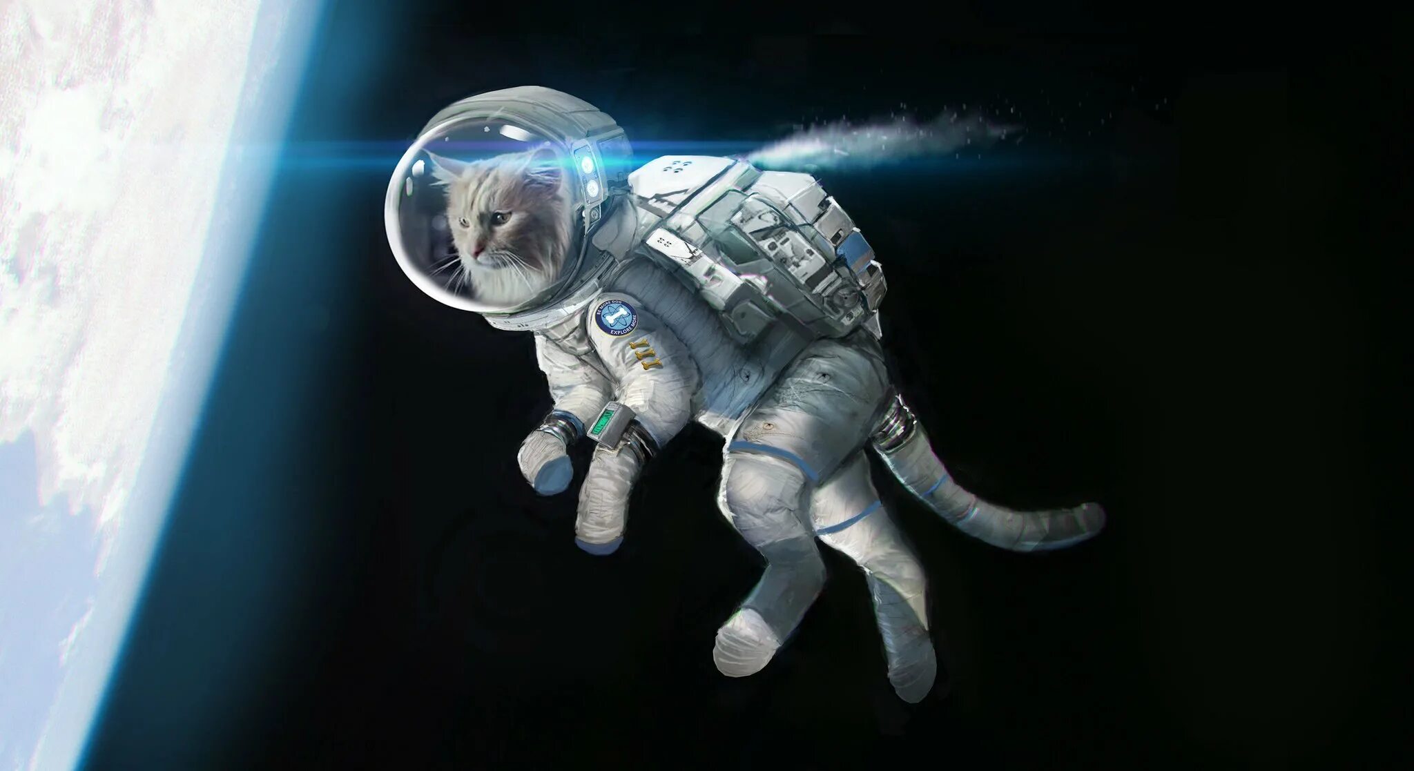 Space animals