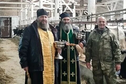Холмогорский племзавод