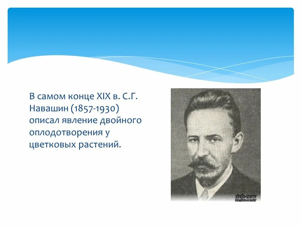 С. Г. Навашин (1857-1930). Биография навашина