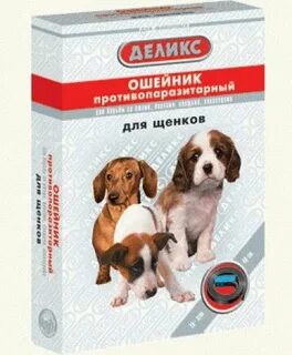 Пет хр