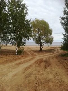 Погода в еруново новгородская