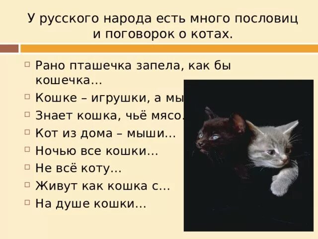 Пословицы и поговорки о котах и кошках. Пословицы про котов. Пословицы про кота. Пословицы о котах. Поговорки про кошек