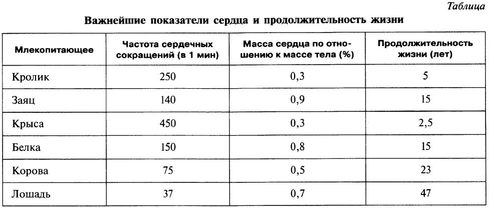 Продолжительность жизни животных таблица. Важнейшие показатели сердца и Продолжительность жизни. Продолжительность жизни животных 1 класс таблица. Продолжительность жизни разных животных.