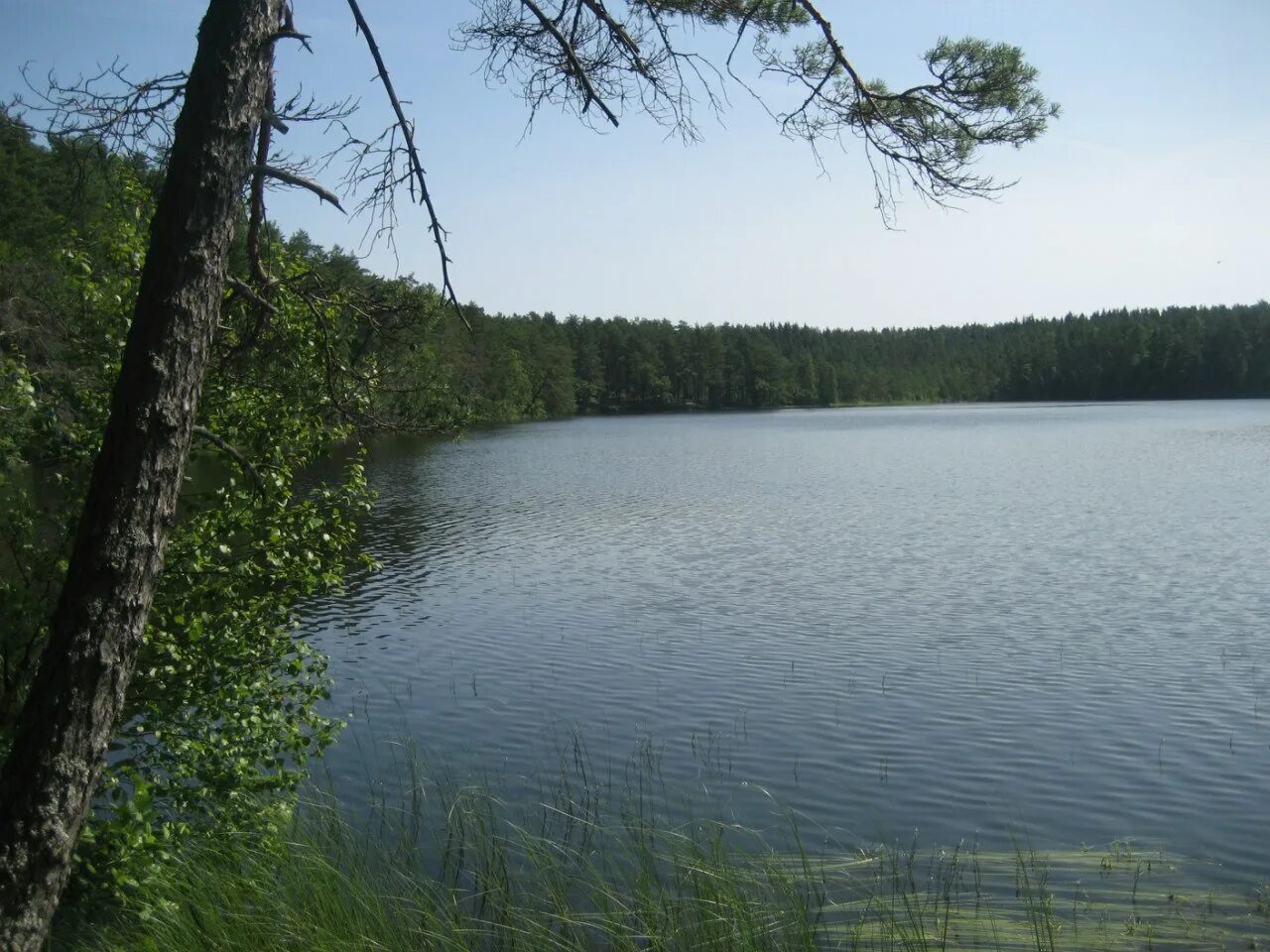 Оз зеркальное ленинградская область. Ленинградская область база отдыха озеро зеркальное. Погода в зеркальном выборгского. Зеркальное озеро зеленогорск. Погода в зеркальном выборгского.