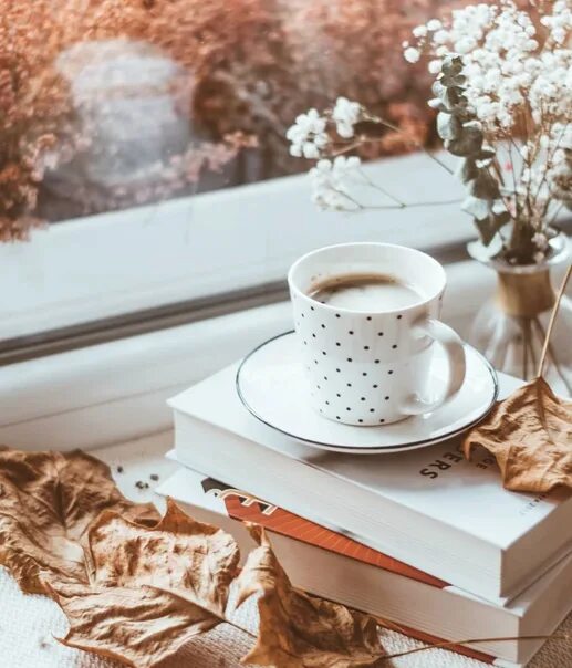 Минута уюта. Утро осень кофе цветы. Осень цветы кофе. Утро осень Эстетика. Чашка кофе красивая композиция.