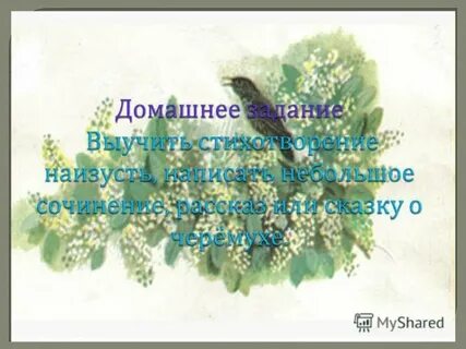 Стих черемуха 3 класс