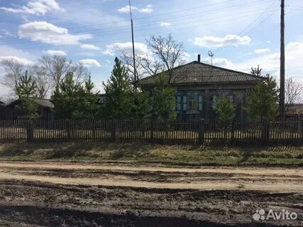 Погода в камышевке