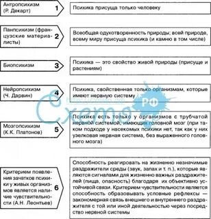 Психика присуща