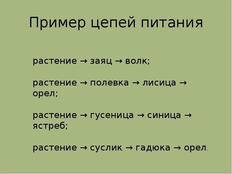 Укажите правильную цепь питания. Цепи питания. Цепочка питания. Цепи питания примеры. Пищевые Цепочки примеры.