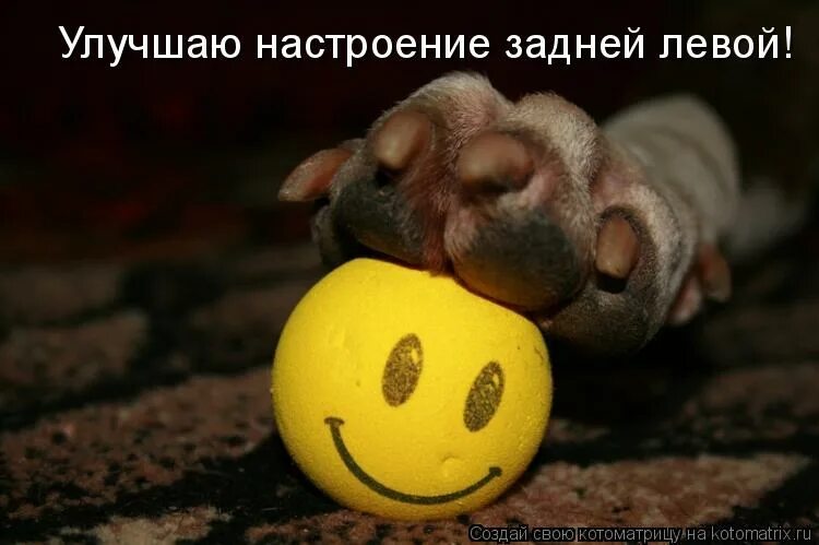 открытки настроение улучшилось. цитаты после парикмахерской. и настроение твое улучшилось. настроение улучшилось. настроение улучшилось.