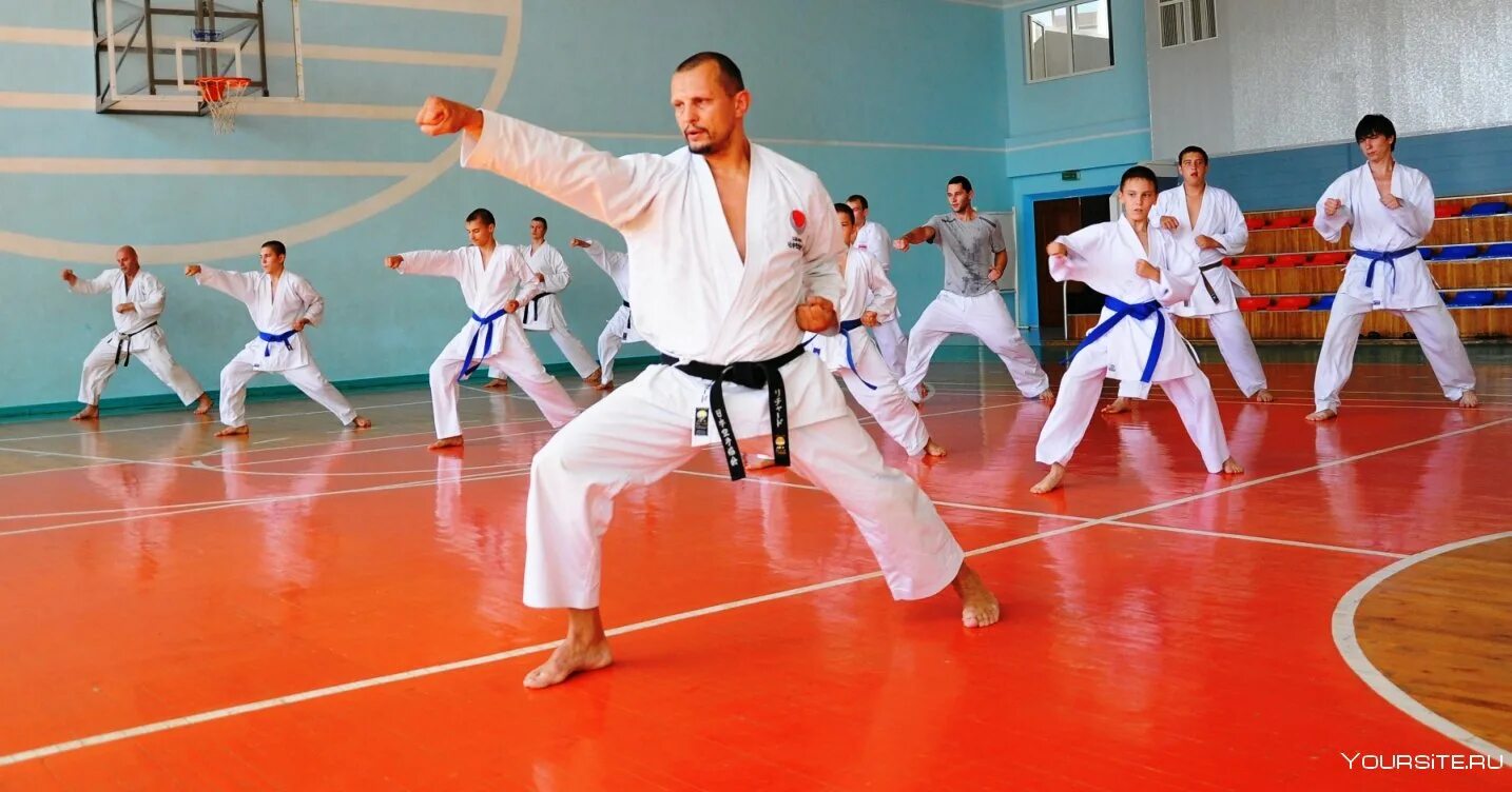 Тренировки зал для карате. Боевая стойка каратиста. Киокусинкай каратэ японцы. Пояса кёкусинкай каратэ. Набор в секцию каратэ киокусинкай.