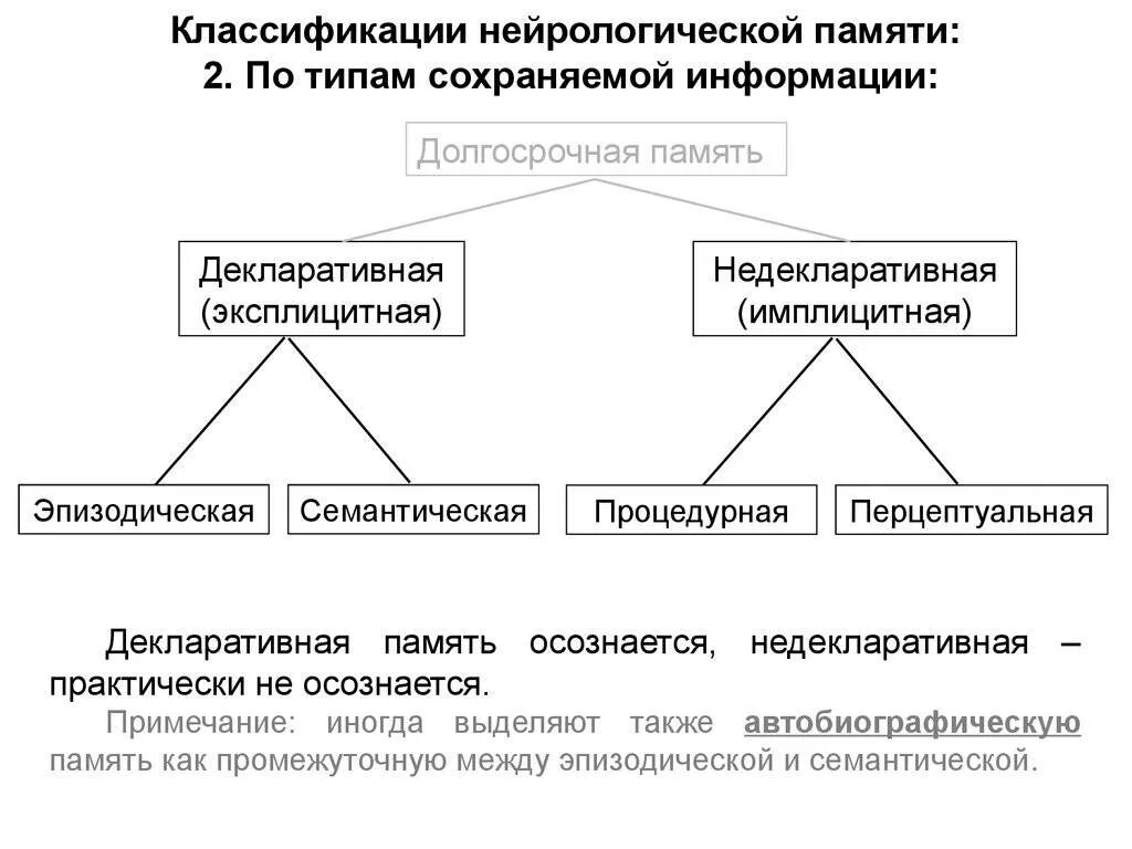 Эксплицитная память. Виды долговременной памяти. Классификация видов памяти. Долговременная память человека. Декларативная память.