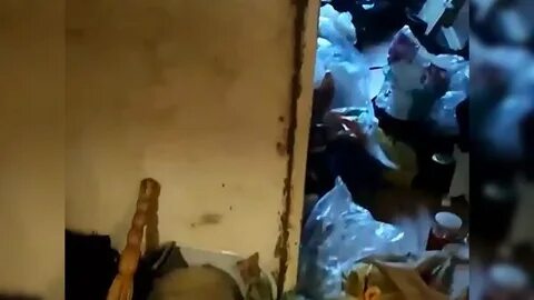 Интервью плюшкин