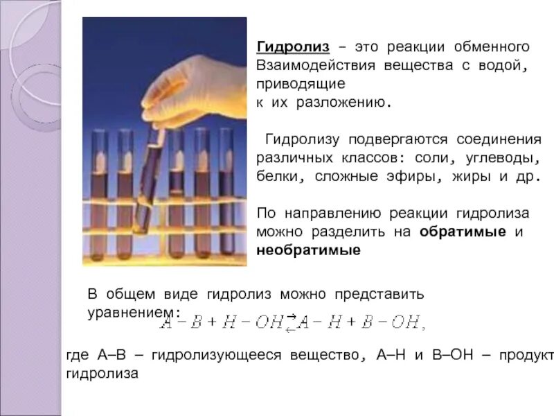 Совместный гидролиз двух солей привести пример Ионные уравнения реакций гидролиза солей