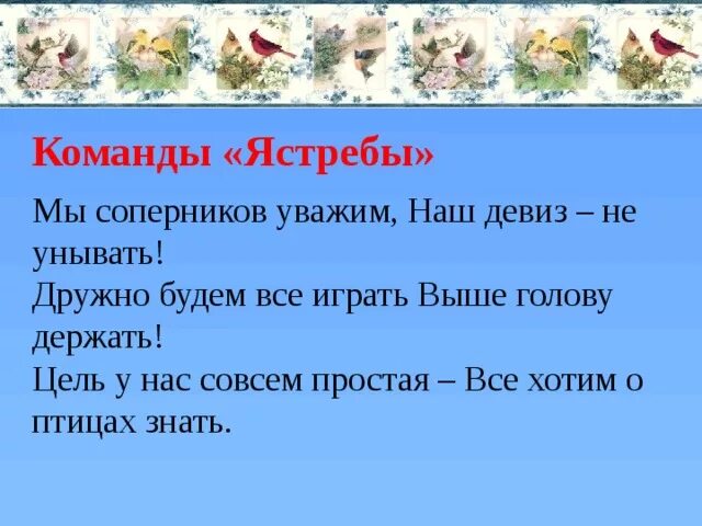 Название девиз орлят. Название команды и девиз. Девиз для команды. Отряд птички девиз. Название команды про птиц.