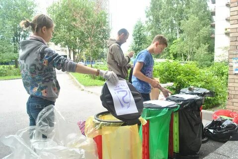Заниматься сбором