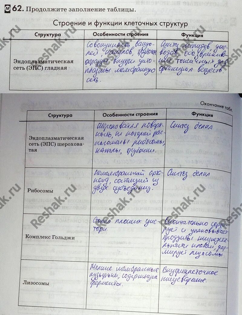 Ответы по биологии 9 пасечник. Закончите заполнение таблицы строение крови. Заполните таблицу строение крови. Закончите заполните таблицу строение крови. Заполните таблицу строение крови 6 класс.