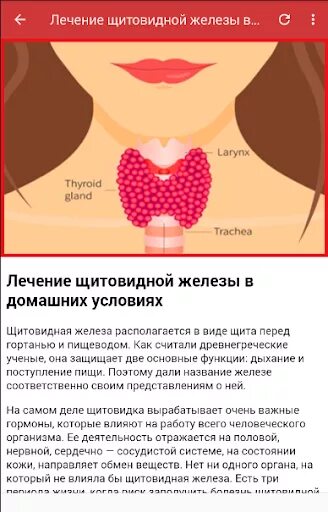 Психосоматика узлов щитовидной железы. Щитовидная железа лечение. Щитовидная железа Лече.