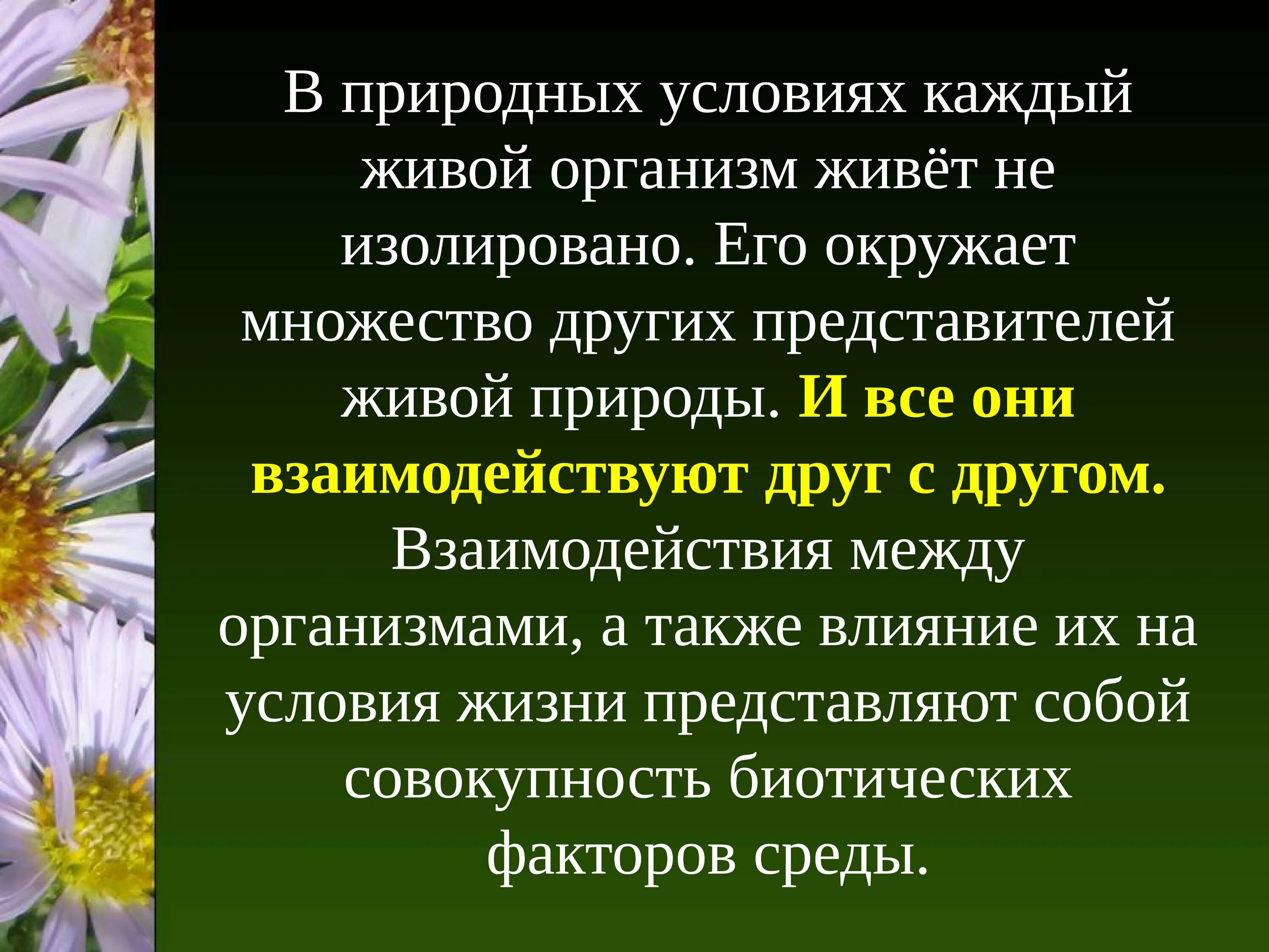 Взаимоотношения между живыми организмами. Взаимодействие между организмами а также влияние