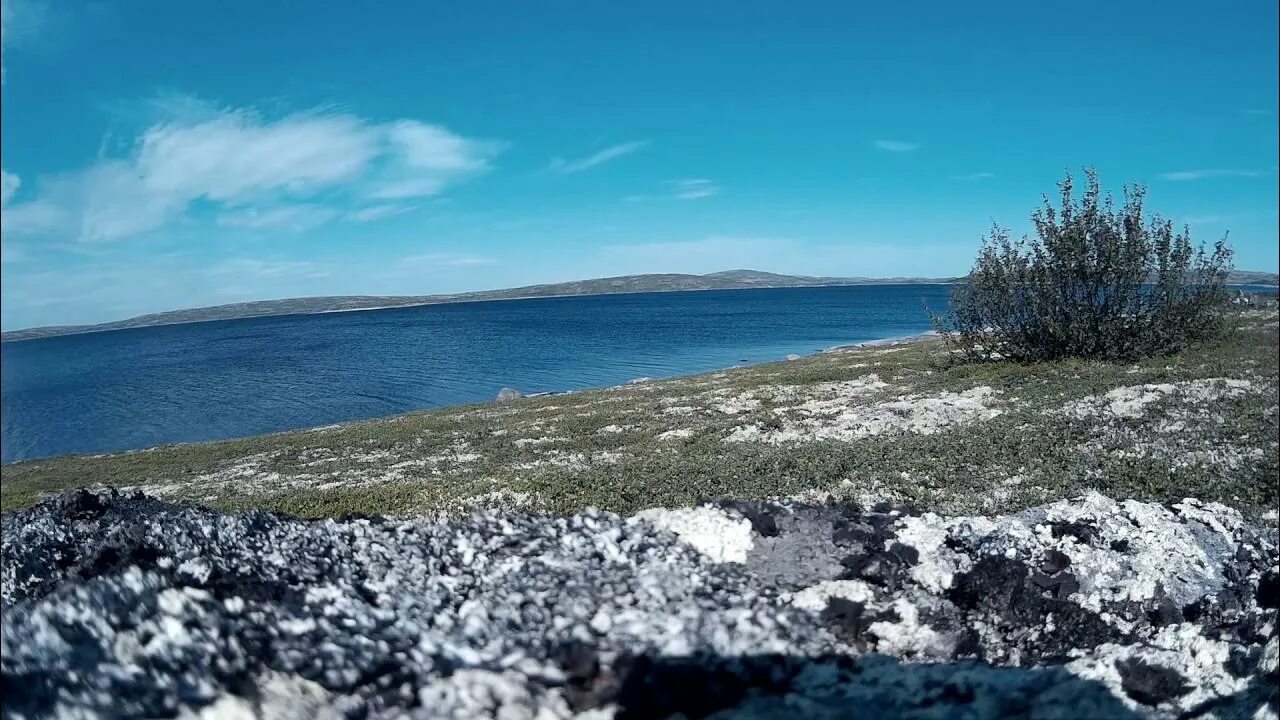 Воды тундры в россии. Териберское водохранилище. Водохранилища Кольского полуострова. Воды тундры. Тундра море.