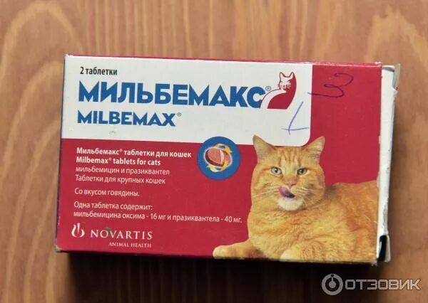 Можно ли кошке обезболивающее. Таблетки от отравления для кошек. Таблетки для отравления кошек. Обезболивающий препарат для котов. Обезболивающие таблетки для котят.