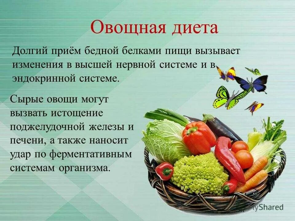 День овощи день мясо