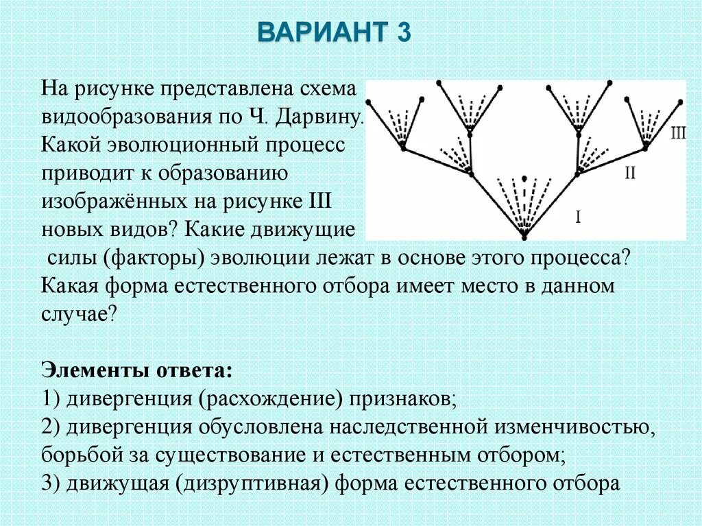 Движущая сила дивергенции