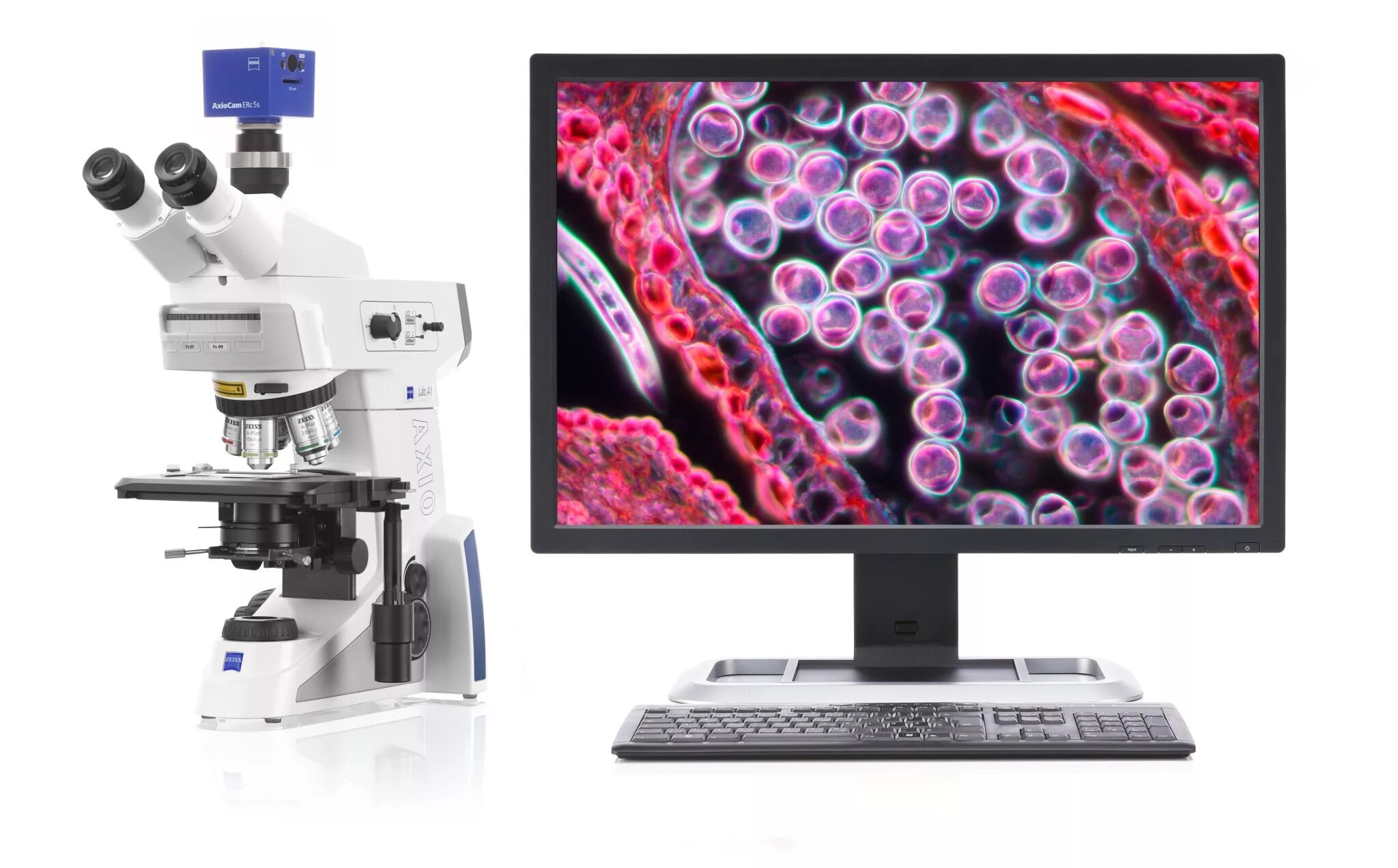 Lab a1. Микроскоп axio lab a1. zeiss axio lab a1. carl zeiss axio lab a1. microscope carl zeiss axio lab.a1.