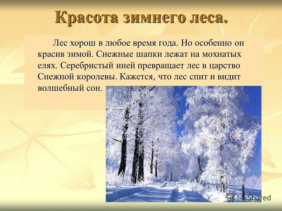 Зимний лес текст 2 класс. Зимний лес описание природы. художественное описание зимнего леса. красивое описание зимы в лесу. текст зимний лес.