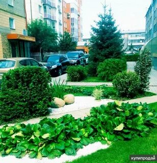 Ландшафт новосибирска
