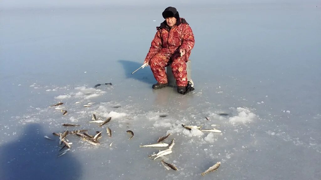 Можно в марте ловить рыбу. Улов 25 рыбалка в Приморье. Зимняя рыбалка в Приморье. Зимняя рыбалка Владивосток. Зимняя рыбалка в Приморском крае.