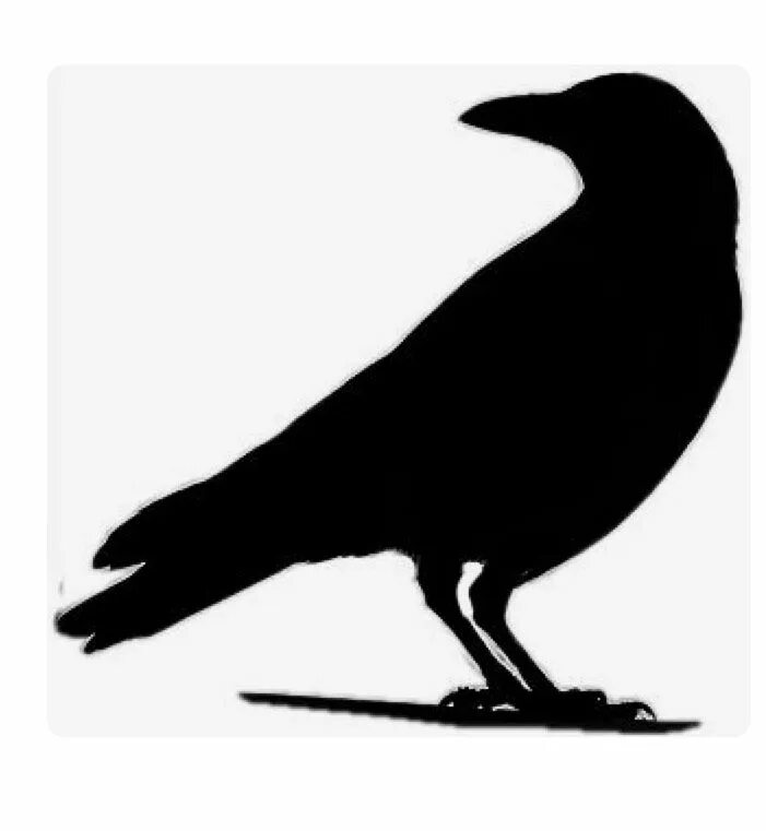 Шаблон ворона для вырезания из бумаги Outline Of Crow