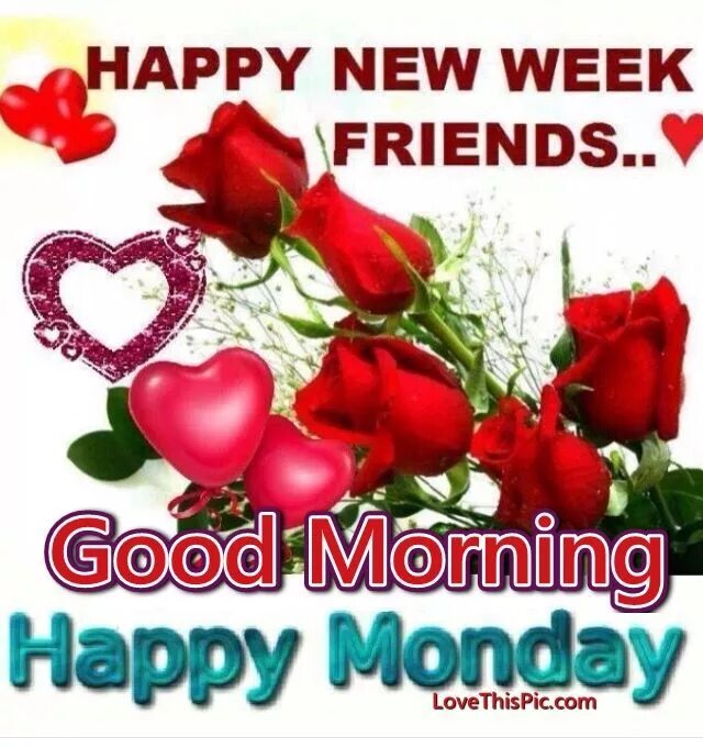 New week new beginning. Good morning happy monday. good morning new week. good morning happy monday картинки. happy new week картинки.