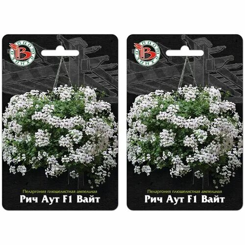 пеларгония плющелистная ампельная рич аут лайт парпл f1, 5 шт. пеларгония ампельная рич аут. пеларгония плющелистная ампельная рич аут f1 вайт. пеларгония плющелистная ампельная рич аут f1 лайт парпл. пеларгония ампельная биотехника.