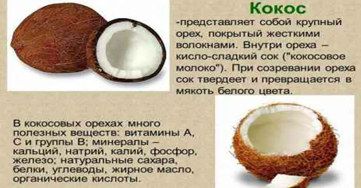 Можно ли собакам кокос. Полезен ли кокосовый сок. чем полезен сок кокоса. кокос для питья сока. кокос орех сок.